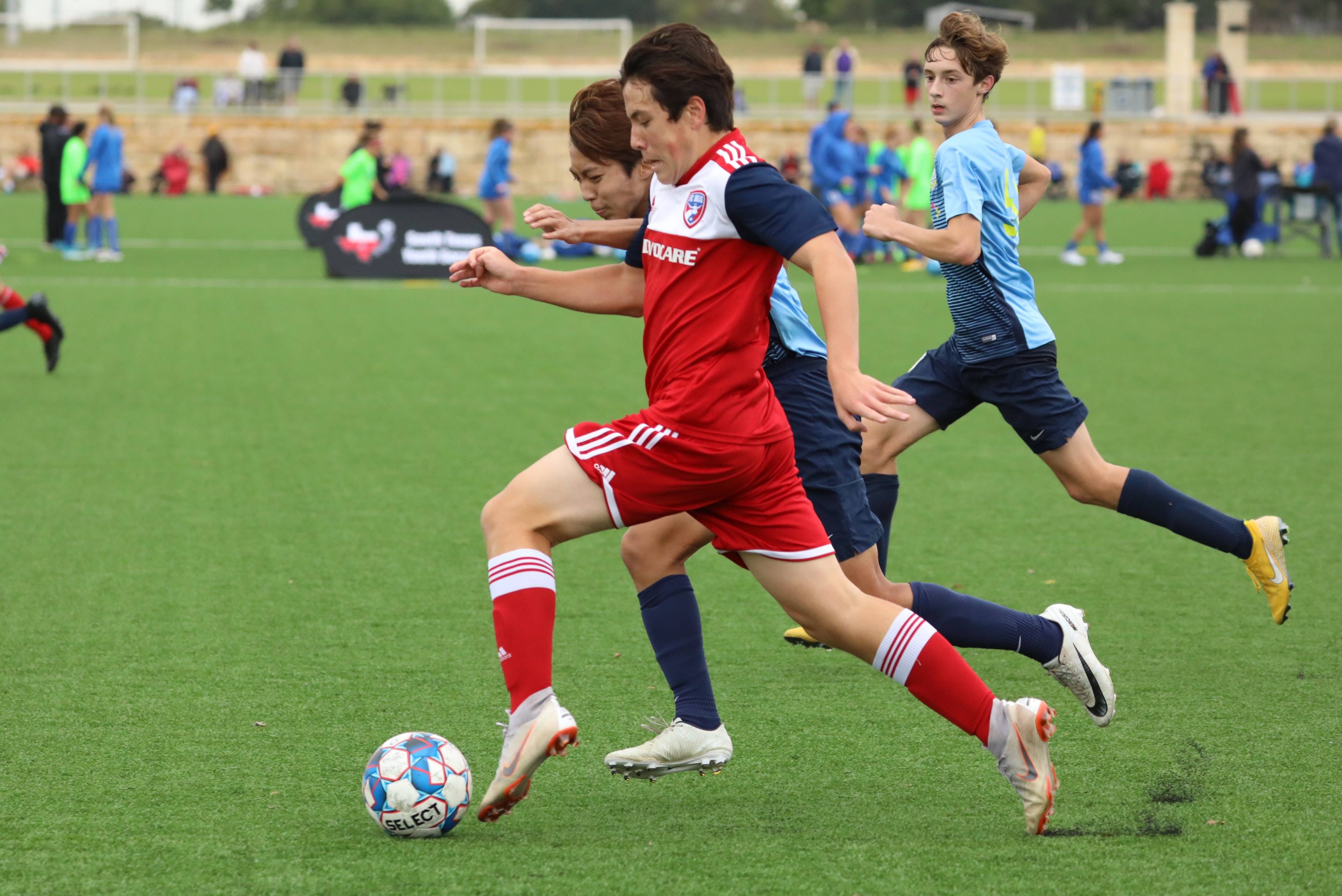 但整体节奏 但整体节奏