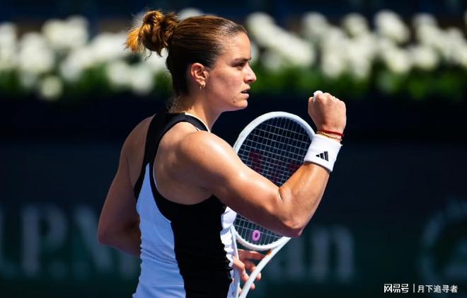 的主题魅力 的主题魅力